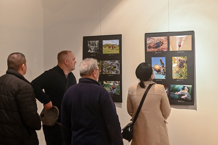 Izložbom 17. bjelovarskog salona fotografije „Šuma okom šumara“ otvorena izložbena sezona u krapinskoj Galeriji – izlaže i nagrađivana Krapinčanka Marija Hlebec