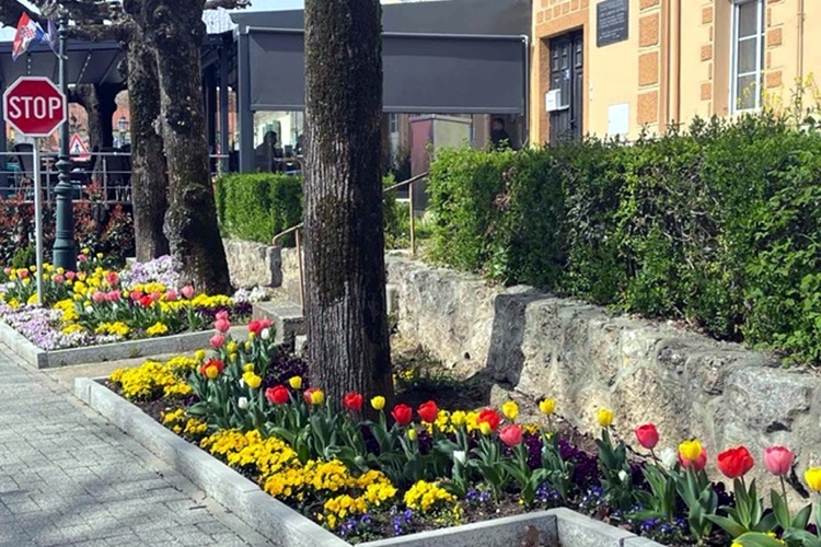 Varaždinske Toplice obukle novo, proljetno ruho – građani i turisti na svakom će koraku uživati u cvjetnom šarenilu