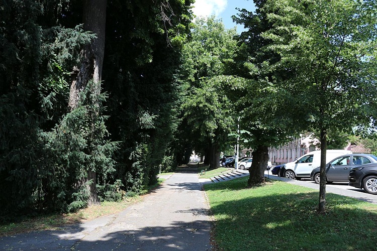 U Gradu Varaždinu vodi se briga o svakom stablu: Započinje ispitivanje stabala u gradskom parku