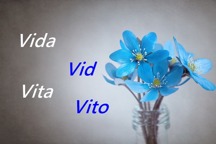 Danas slave Vito, Vita, Vid i Vida – znate li što znače njihova imena?