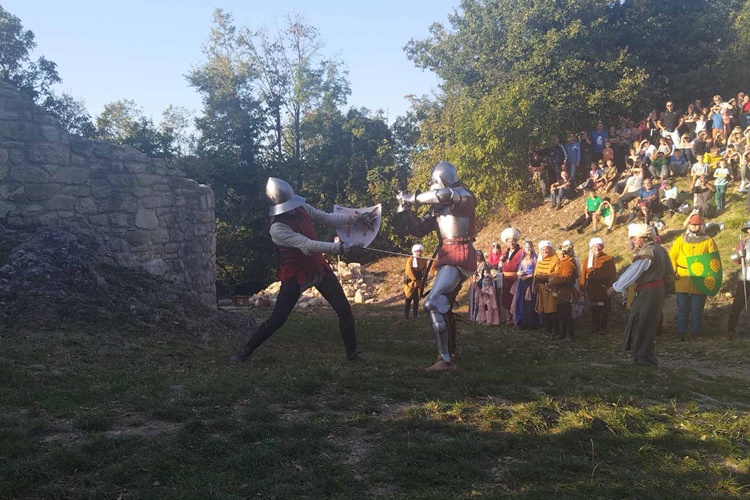 FOTO: Povijesna manifestacija Bitka za Čanjevo ponovno oduševila posjetitelje!