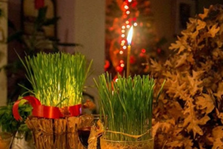 Na Svetu Luciju sije se božićna pšenica – evo kako je posijati da bude lijepa i gusta