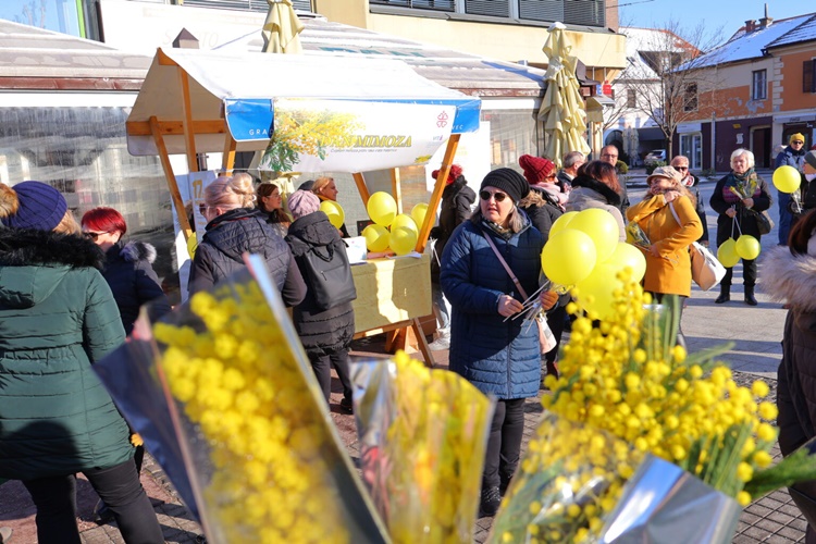 I u Čakovcu obilježen Dam mimoza – uz brojne Međimurce, akciju podržala i gradonačelnica Cividini