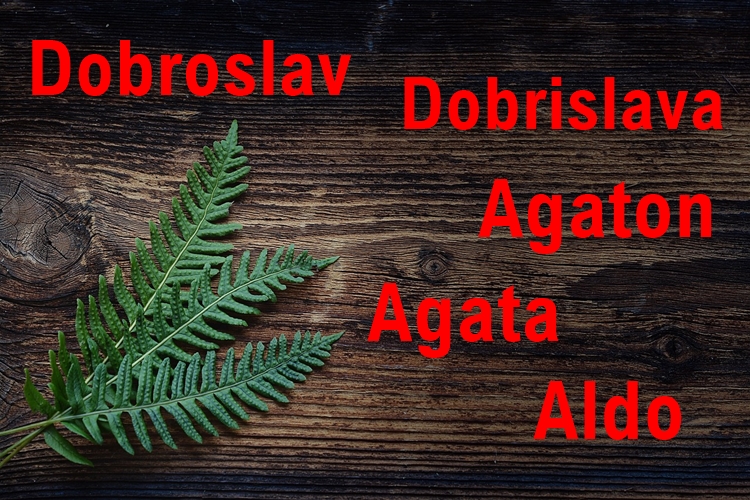 Agaton, Agata, Dobroslav, Dobrislava i Aldo danas slave imendan, čestitajte im!