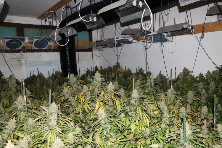 Policija u kući 65-godišnjaka u Zagrebu pronašla tri improvizirana laboratorija za uzgoj marihuane