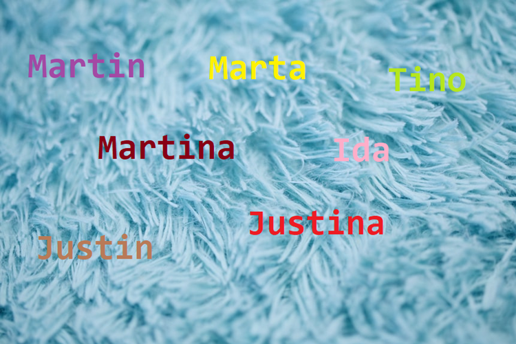 Današnji slavljenici su Martina i Martin, Ida, Justina i Justin